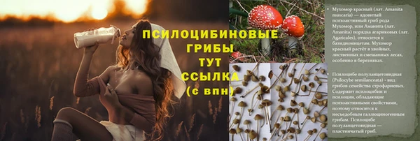 мефедрон мука Каменск-Шахтинский