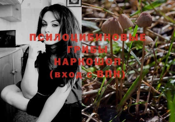 наркотики Каменногорск