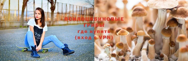 мефедрон мука Каменск-Шахтинский