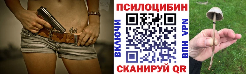 Псилоцибиновые грибы GOLDEN TEACHER  Купить где  Кудымкар 